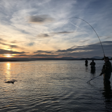 An Evening on the Clyde Estuary<br/><a href="gallery/bespoke-fly-box-studio/158/add/#comments">Add comment</a>